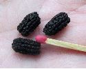 Brahmaea hearseyi, crottes de chenille stade 5,