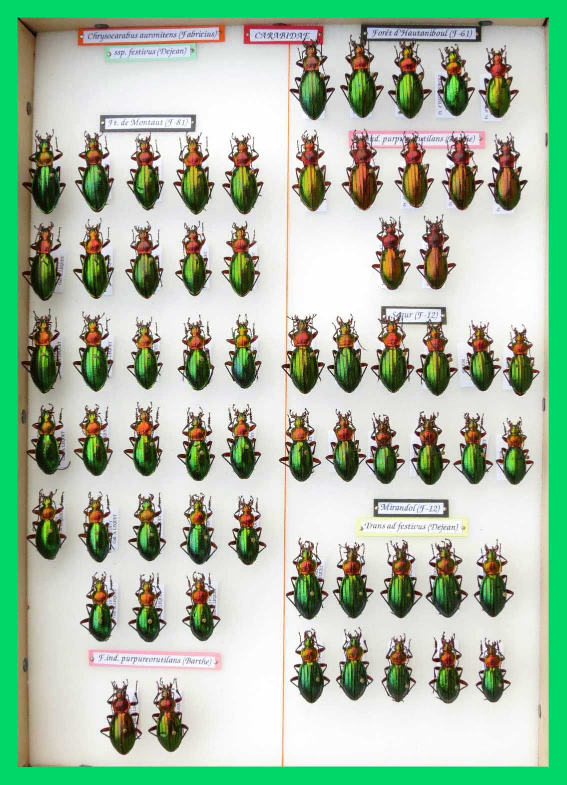 bt94