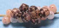 Punaise arlequin (Graphosoma italicum) larves en train d'écloe, photo 3, 2e série.