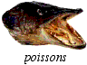 poissons