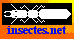 logo insectes.net"