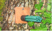 exemple de nid artificiel, sur arbre