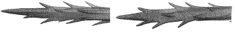 détail des poils urticants (microscopie)