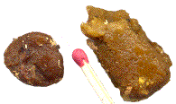 boulettes nutritives des larves